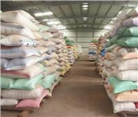 توريد أكثر من 32 ألف طن أرز لـ«شون البحيرة»
