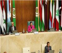 وزيرة البيئة تدعو الدول العربية لتضافر الجهود للحفاظ على حقوق الأجيال 