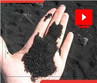 الرمال السوداء .. مصر لديها أكبر احتياطى على مستوى العالم| فيديو