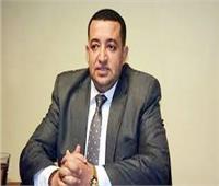 برلماني: اختيار «الخارجة» عاصمة للبيئة العربية إضافة كبيرة لمصر