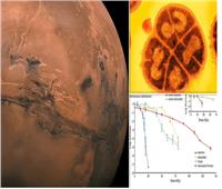 هل هناك حياة مختبئة على سطح المريخ؟..  دراسة تُجيب