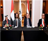 وزيرا التجارة والاقتصاد يترأسان اجتماع مجلس الأعمال المصري الإماراتي المشترك