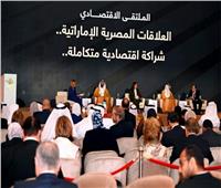 وزير الدفاع الإماراتى: العلاقات مع مصر نموذج ملهم فى العلاقات العربية