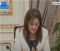 وزيرة التخطيط: صندوق النقد يدعم جهود مصر في الإصلاحات الهيكلية