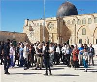 مستوطنون إسرائيليون يقتحمون المسجد الأقصى.. ويؤدون طقوسًا تلمودية في باحاته
