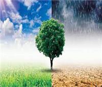 «COP 27».. جهود منظمات المجتمع المدني لمعالجة التغيرات المناخية