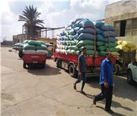 «الدقهلية» تحتل المركز الأول في توريد أرز الشعير بـ51 ألف طن