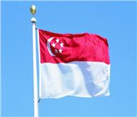 سنغافورة: لا ضحايا من مواطنينا بحادث التدافع في سول