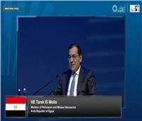 وزير البترول: مصر لديها خطة طموحة لرفع مساهمة الطاقة المتجددة في توليد الكهرباء