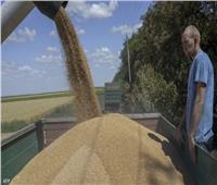 فرنسا تُعد طريقًا بريًا لمحاصيل أوكرانيا بعد انسحاب روسيا من اتفاق تصدير الحبوب