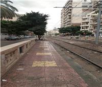 أمطار رعدية مفاجئة على أحياء متفرقة في الإسكندرية| صور 