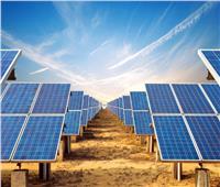 الأمم المتحدة: مزارع الرياح والطاقة الشمسية إنجاز كبير بمصر| فيديو