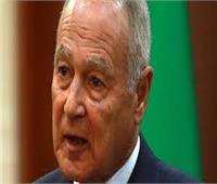 أبو الغيط: «فلسطين» القضية المحورية للأمة والدول العربية