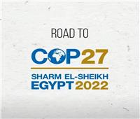 مدير تسويق سياحي: مؤتمر المناخ «Cop27» فرصة ذهبية لترويج شرم الشيخ سياحيا    