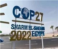 برلمانية: cop27 خطوة محورية في تعزيز التعاون الدولي والشراكة بين الدول 