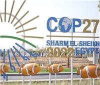 اهتمام إعلامي عالمي بقمة المناخ في شرم الشيخ 