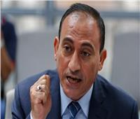 برلماني: مصر تسير بخطى قوية في الحد من تأثير التغيرات المناخية ‎‎