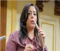 برلمانية: علاء عبدالفتاح سجين جنائي لا يستحق العفو