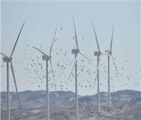 صحف الإمارات تسلط الضوء على اتفاقية إنشاء أحد أكبر مشاريع طاقة الرياح في مصر