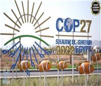 مجلس الشباب المصري ينظم فعالية داخل المنطقة الزرقاء بـ«قمة المناخ»
