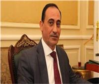 نائب: مصر تحقق نجاحات عالمية بفضل جهود القيادة السياسية