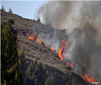 لبنان يعلن تراجع خطر حرائق الغابات