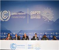 «شكري» يترأس جلسة إحاطة خاصة للجلسة العامة لمؤتمر المناخ