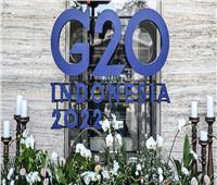 إندونيسيا تُعلن عن معلومات حول دخول جماعات أجنبية لتعطيل «قمة العشرين»