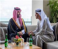 ولي العهد السعودي يبحث مع رئيس الإمارات الموضوعات ذات الاهتمام المشترك