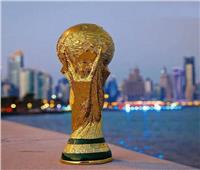 «كأس العالم».. مصر تمنح تأشيرات مجانية وتخفيضات على الطيران والفنادق    