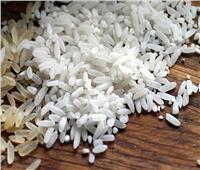 «الغرفة التجارية بالإسكندرية»: لا توجد أزمة في الأرز ومتوفر أكثر من العام الماضي