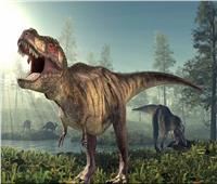 فريق بحثي يكشف أسرارًا جديدة حول «ملك الديناصورات»