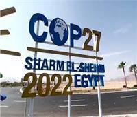 برلماني: قمة المناخ بشرم الشيخ من أنجح القمم في تاريخ الأمم المتحدة