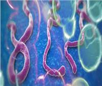 بعد عودة انتشاره.. تعرف على أبرز أعراض الإصابة بمرض إيبولا القاتل
