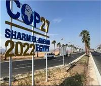 علاء النهري: نجاح مصر في «cop27» يُخرس ألسنة المشككين| فيديو
