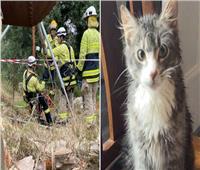 إنقاذ امرأة من الموت في بئر طوله 8 أمتار.. بسبب «قطة»