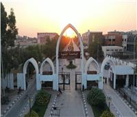 غدًا | فتح باب الترشح لانتخابات الاتحادات الطلابية بجامعة المنيا 