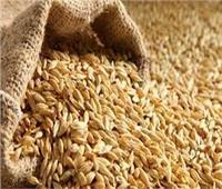 «التموين» تعلن موعد انتهاء مهلة تسليم الأرز.. وتحذر: السجن والغرامة للمخالفين