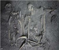 اكتشاف أثري حول حضارة المايا.. تم اكتشاف قرد مدفون حي 