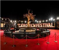 ناقد يكشف سر اهتمام مهرجان القاهرة بأفلام النصوص الأدبية| فيديو 