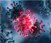 خبير علم الأوبئة: موجة الإصابات بفيروس كورونا بدأت ترتفع في دول آسيا