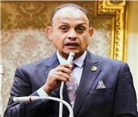 برلماني رداً على «الاتحاد الأوروبي»: لا وصاية على مصر في شئونها الداخلية ‎‎
