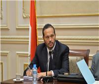 محمد حلاوة رئيس لجنة الصناعة والتجارة بمجلس الشيوخ: أرفض بيان البرلمان الأوربى تجاه حقوق الإنسان بمصر