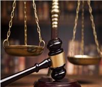 تأجيل إعادة محاكمة متهم بـ«خلية اللجان النوعية» في المرج لـ29 نوفمبر