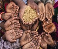 خبير اقتصادي: 2.3 مليار نسمة حول العالم يعانون من نقص الغذاء