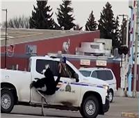 فيديو .. الشرطة الكندية تطارد قطيعاً من النعام في الشوارع