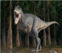 صور مخيفة تظهر سر منع التفريط بـ«ديناصور ضخم»