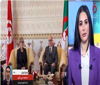 خبير سياسي: شراكة بين الجزائر وتونس في الملفات الاستراتيجية