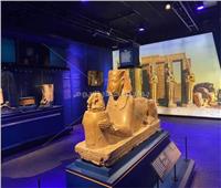 يضم 181 قطعة أثرية.. معرض «رمسيس وذهب الفراعنة» يزين باريس 2023| فيديو