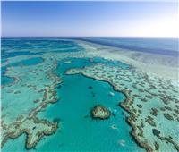 توصية بإدراج الحاجز المرجاني العظيم تراثاً عالمياً معرضاً للخطر